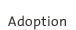 Adoption